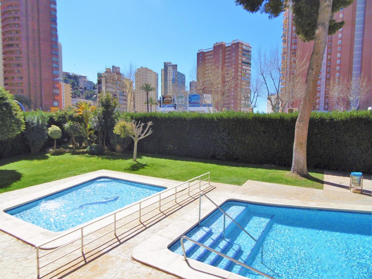 Albatros 15 Appartement